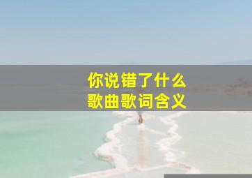 你说错了什么歌曲歌词含义