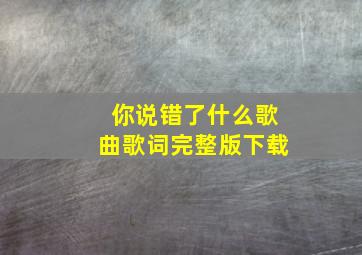 你说错了什么歌曲歌词完整版下载