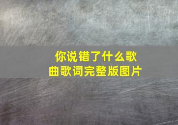 你说错了什么歌曲歌词完整版图片