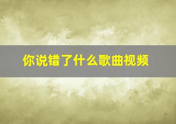 你说错了什么歌曲视频