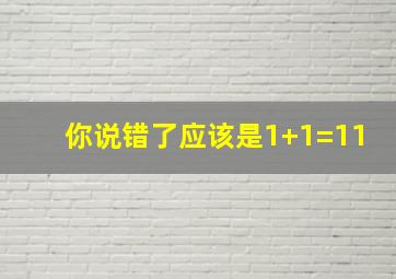 你说错了应该是1+1=11