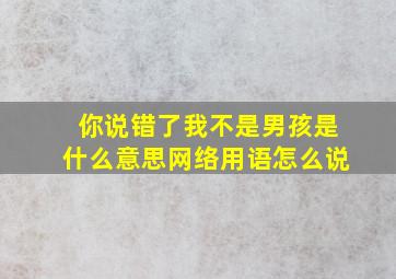 你说错了我不是男孩是什么意思网络用语怎么说