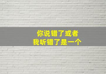 你说错了或者我听错了是一个