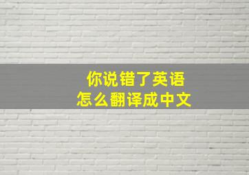 你说错了英语怎么翻译成中文