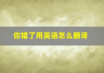 你错了用英语怎么翻译