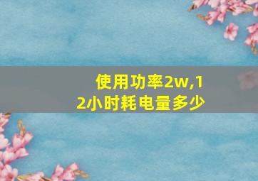 使用功率2w,12小时耗电量多少