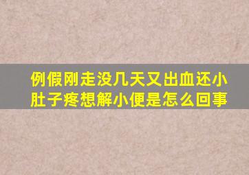 例假刚走没几天又出血还小肚子疼想解小便是怎么回事