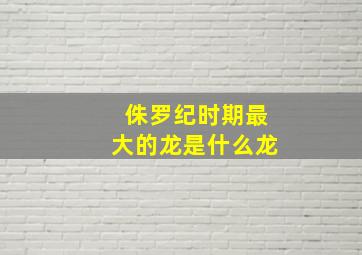 侏罗纪时期最大的龙是什么龙