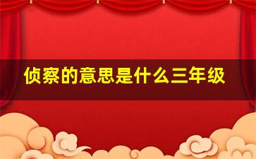 侦察的意思是什么三年级