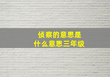 侦察的意思是什么意思三年级