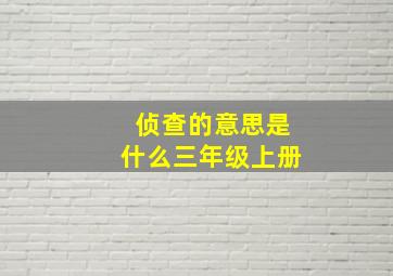 侦查的意思是什么三年级上册