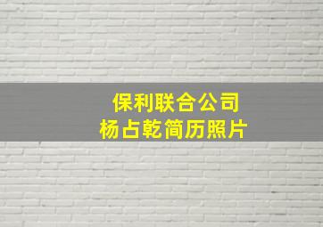 保利联合公司杨占乾简历照片