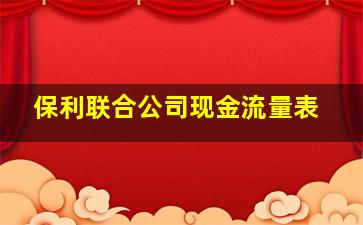 保利联合公司现金流量表