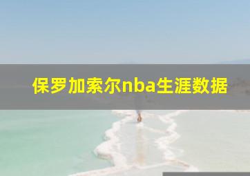 保罗加索尔nba生涯数据