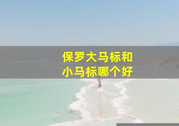 保罗大马标和小马标哪个好