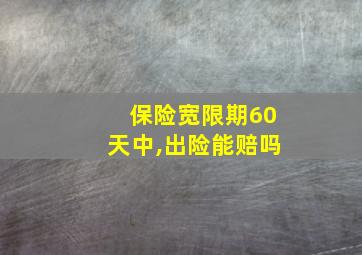 保险宽限期60天中,出险能赔吗