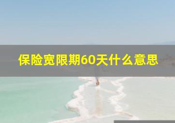 保险宽限期60天什么意思