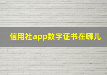 信用社app数字证书在哪儿