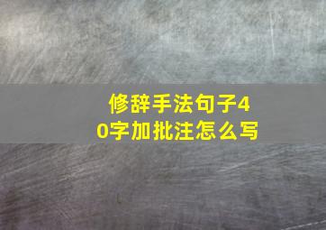 修辞手法句子40字加批注怎么写