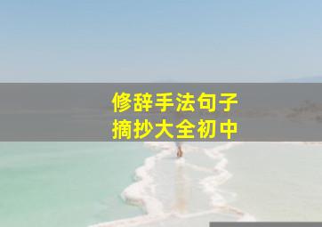 修辞手法句子摘抄大全初中