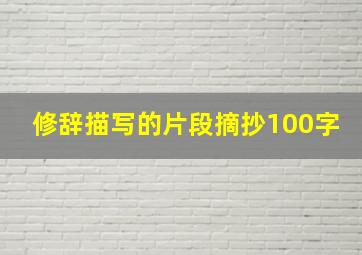 修辞描写的片段摘抄100字