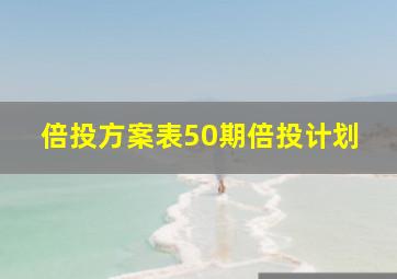 倍投方案表50期倍投计划