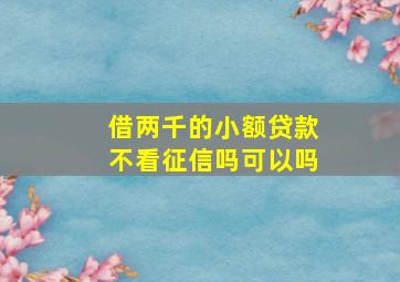 借两千的小额贷款不看征信吗可以吗