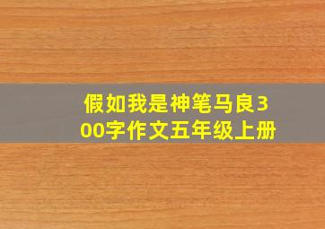 假如我是神笔马良300字作文五年级上册