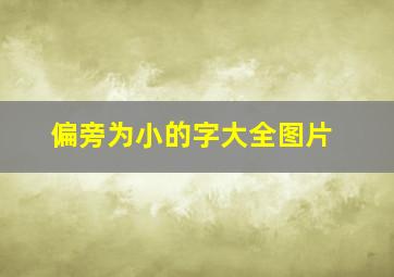 偏旁为小的字大全图片