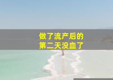 做了流产后的第二天没血了