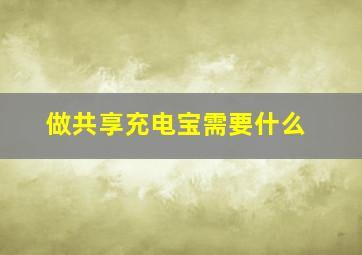 做共享充电宝需要什么