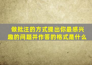 做批注的方式提出你最感兴趣的问题并作答的格式是什么