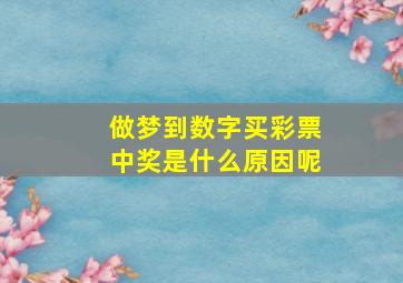 做梦到数字买彩票中奖是什么原因呢