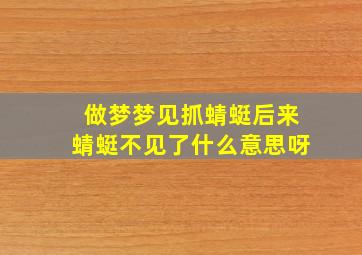 做梦梦见抓蜻蜓后来蜻蜓不见了什么意思呀