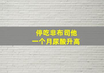 停吃非布司他一个月尿酸升高