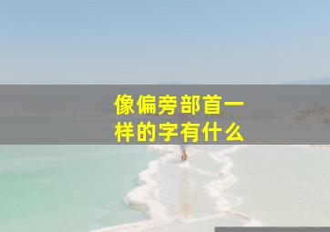 像偏旁部首一样的字有什么