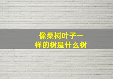 像桑树叶子一样的树是什么树