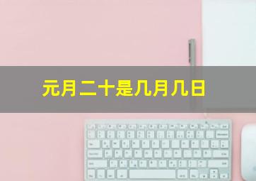 元月二十是几月几日