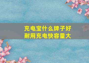 充电宝什么牌子好耐用充电快容量大