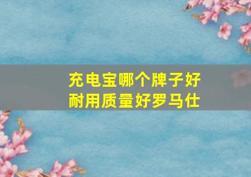 充电宝哪个牌子好耐用质量好罗马仕