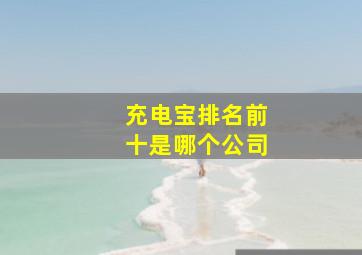 充电宝排名前十是哪个公司