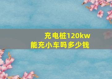 充电桩120kw能充小车吗多少钱