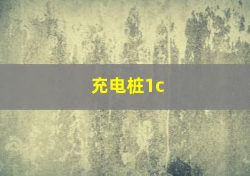 充电桩1c