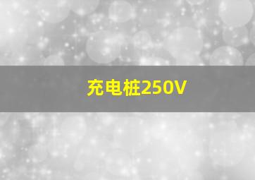 充电桩250V