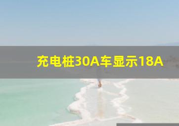 充电桩30A车显示18A