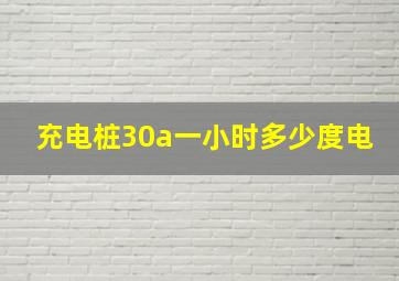 充电桩30a一小时多少度电