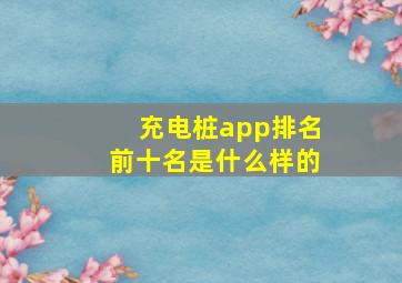 充电桩app排名前十名是什么样的