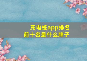 充电桩app排名前十名是什么牌子