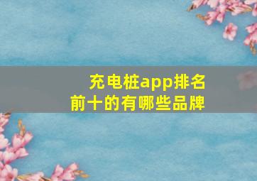 充电桩app排名前十的有哪些品牌