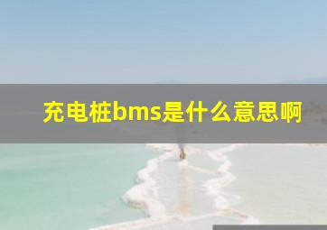 充电桩bms是什么意思啊